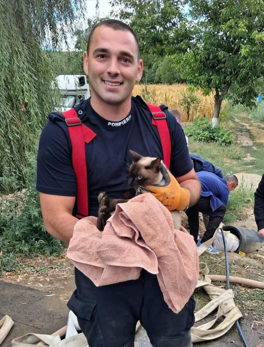 Pisică salvată după două zile de la dispariție