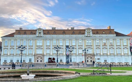 Legătură importantă între Palatul Baroc și comunitate