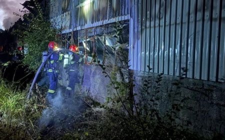 Incendiu la o hală de prelucrare a lemnului