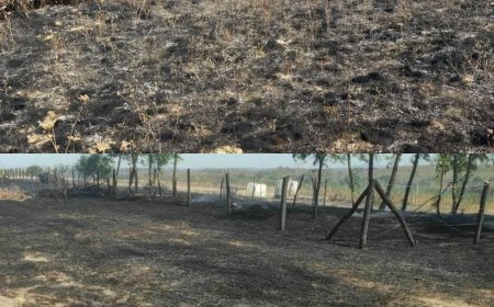 Luptă contra cronometru! 7 incendii în 24 de ore