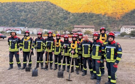 Pompieri hunedoreni, mobilizați pentru incendiile din Domogled