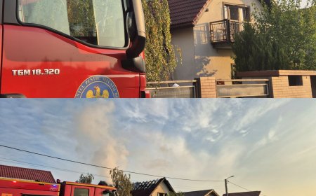 Case cuprinse de flăcări în Timiș