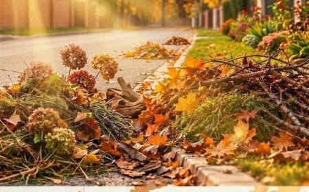 Campanie de colectare a resturilor vegetale în Recaș și satele aparținătoare