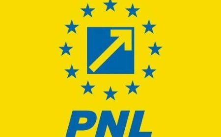 PNL Timiș: „Fiecare partid să se preocupe de propria ogradă”