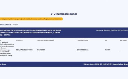 Proiect verde la Dudeștii Vechi