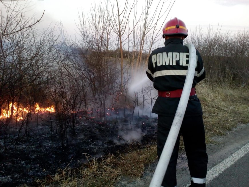 189 de misiuni ale pompierilor militari timișeni gestionate în ultimele 48 de ore