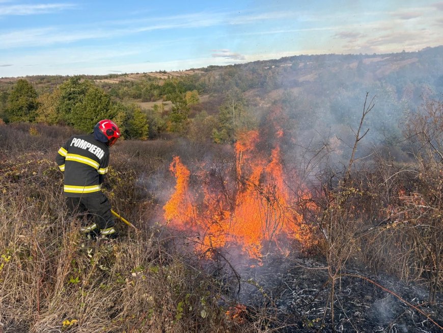 Peste 50 de hectare de teren, afectate de incendiile de vegetație din zona Lugoj și Făget
